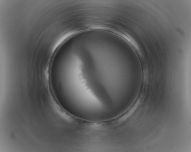 X0000114700814200910211250