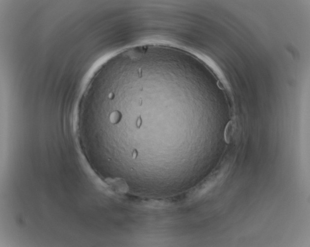 X0000114700815200910211250