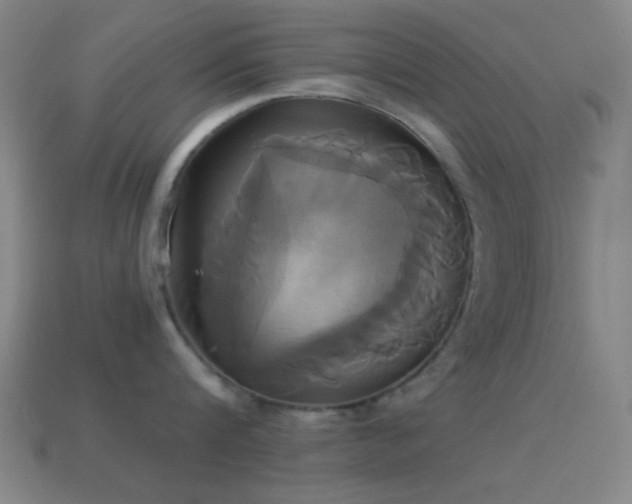 X0000114700816200910211250