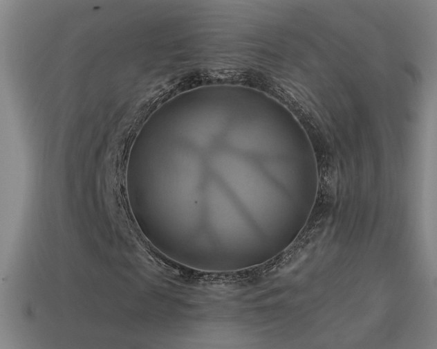 X0000114700817200910211250