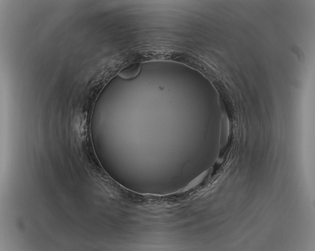 X0000114700818200910211250