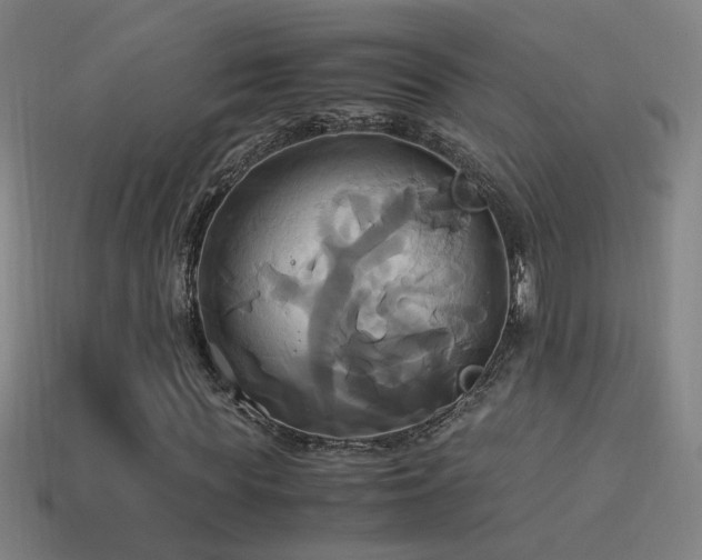 X0000114700819200910211250