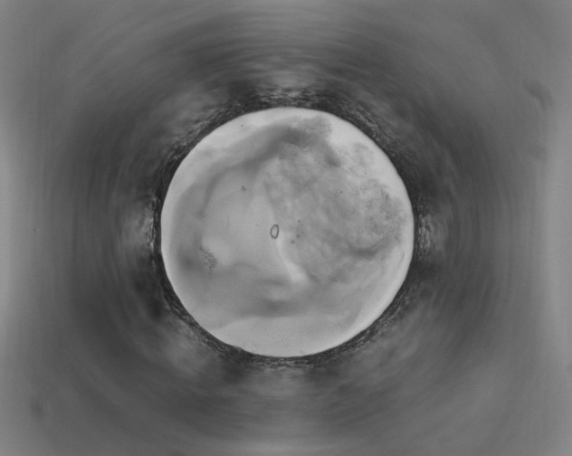 X0000114700820200910211250