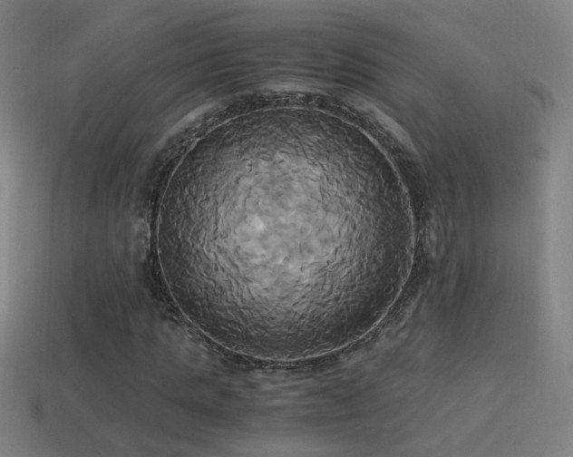 X0000114700821200910211250