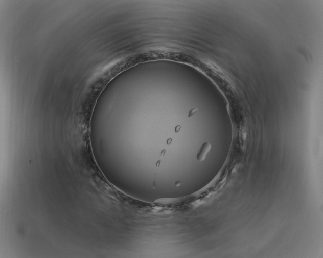 X0000114700822200910211250