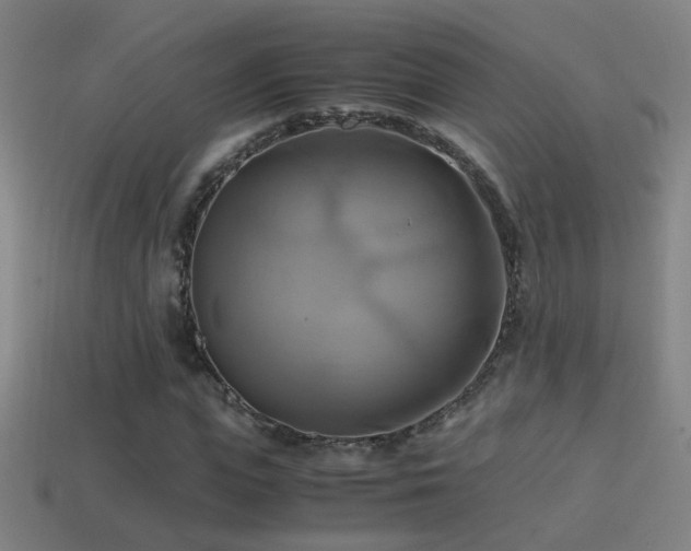 X0000114700823200910211250