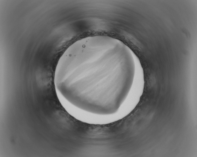 X0000114700824200910211250