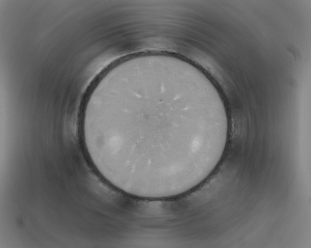 X0000114700828200910211250