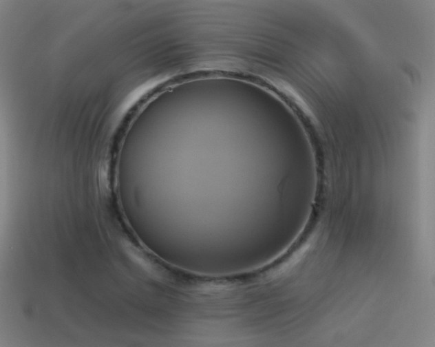 X0000114700830200910211250