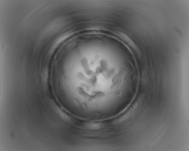 X0000114700831200910211250