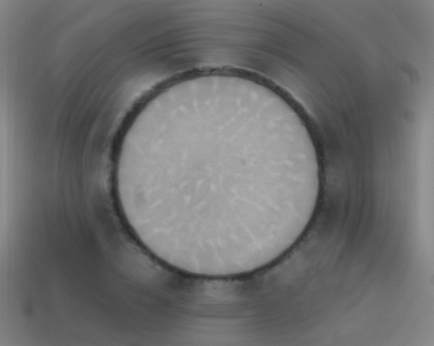 X0000114700832200910211250