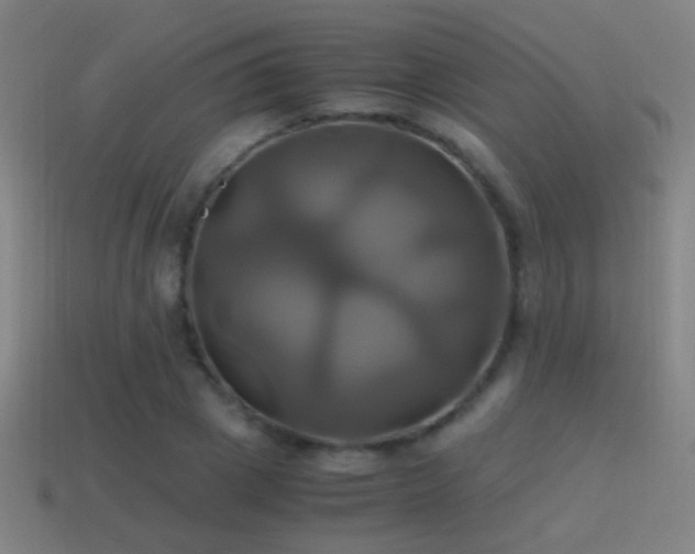 X0000114700833200910211250