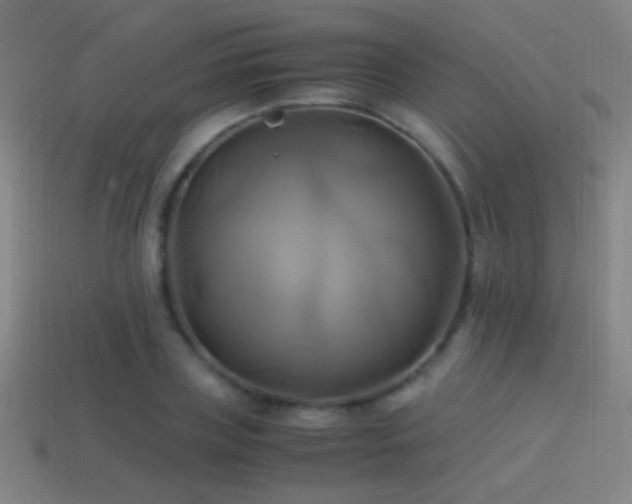 X0000114700835200910211250