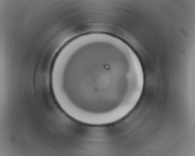 X0000114700836200910211250