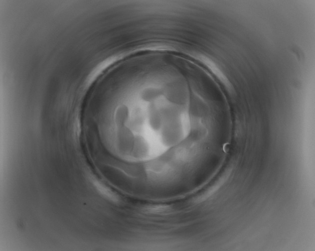 X0000114700837200910211250