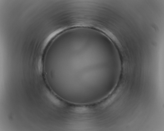 X0000114700838200910211250