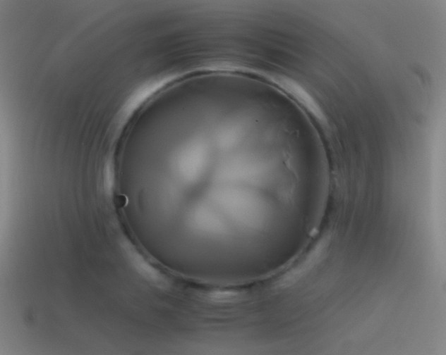 X0000114700839200910211250