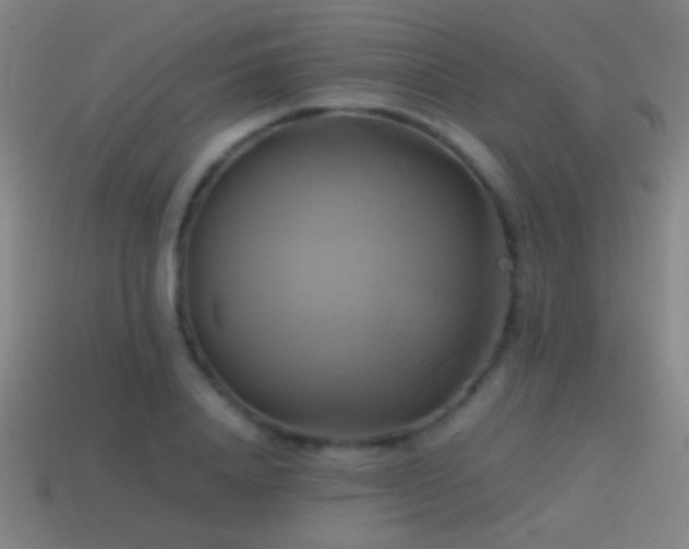 X0000114700840200910211250