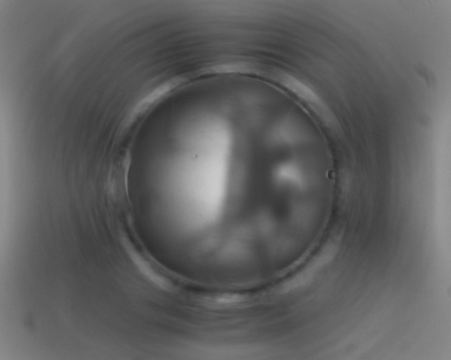 X0000114700841200910211250