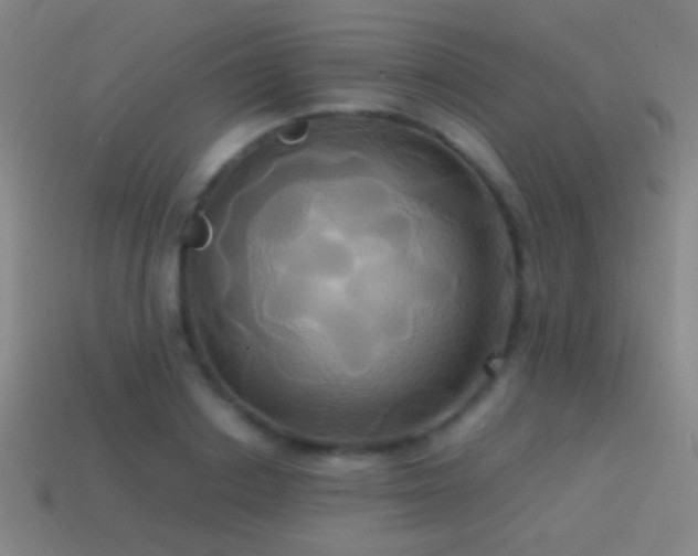 X0000114700842200910211250