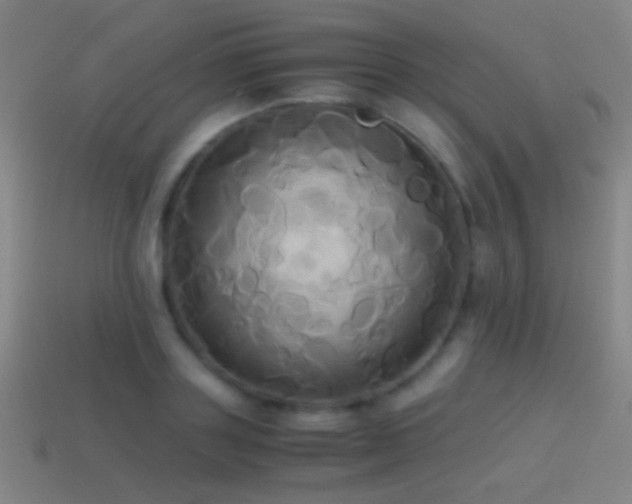 X0000114700843200910211250