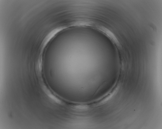 X0000114700844200910211250