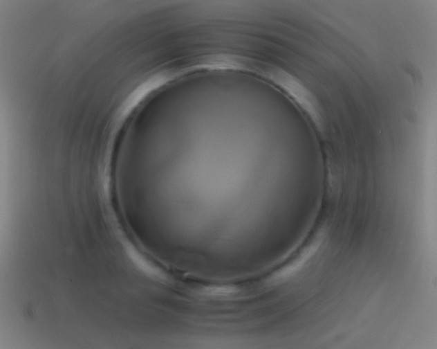 X0000114700845200910211250