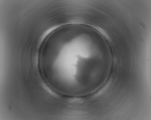 X0000114700846200910211250