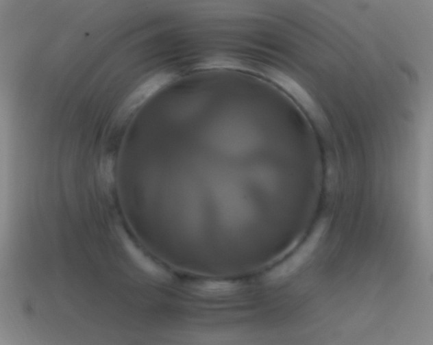 X0000114700849200910211250