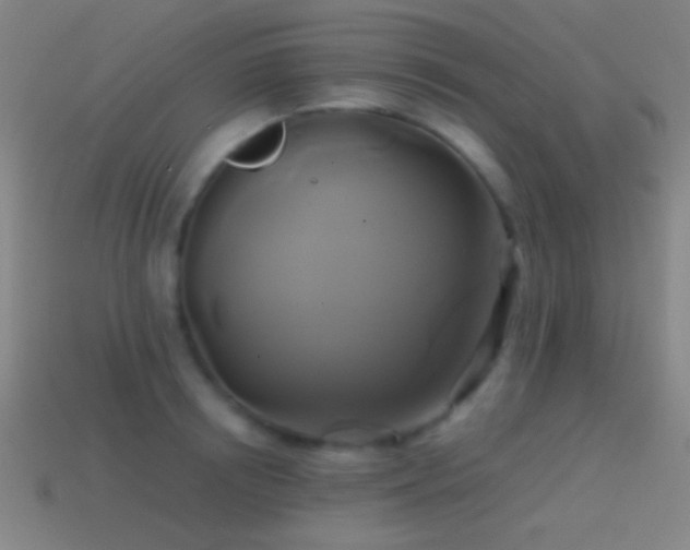 X0000114700850200910211250