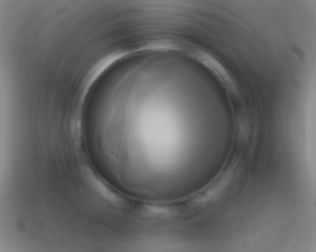 X0000114700852200910211250