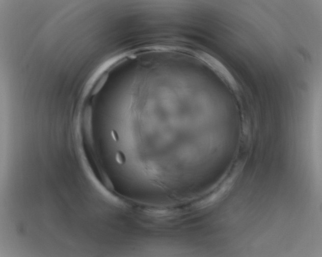 X0000114700855200910211250