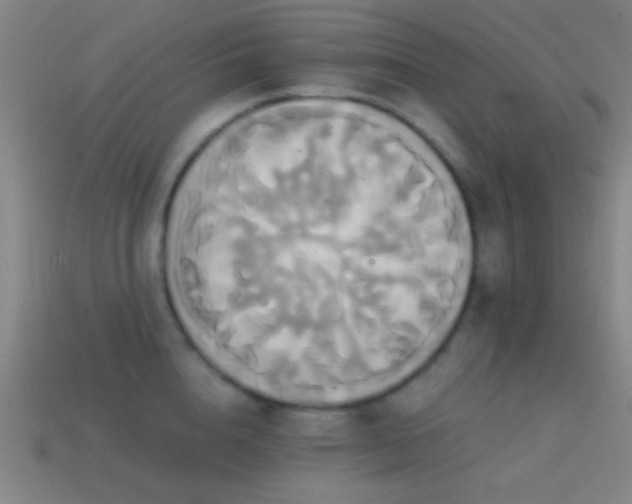 X0000114700856200910211250