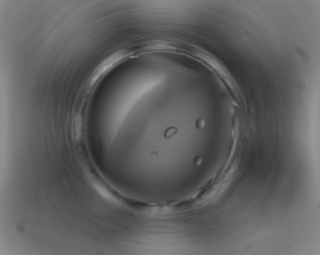 X0000114700858200910211250