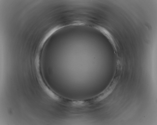 X0000114700859200910211250