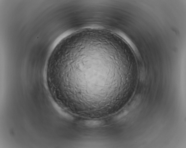 X0000114700861200910211250