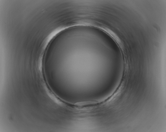 X0000114700862200910211250