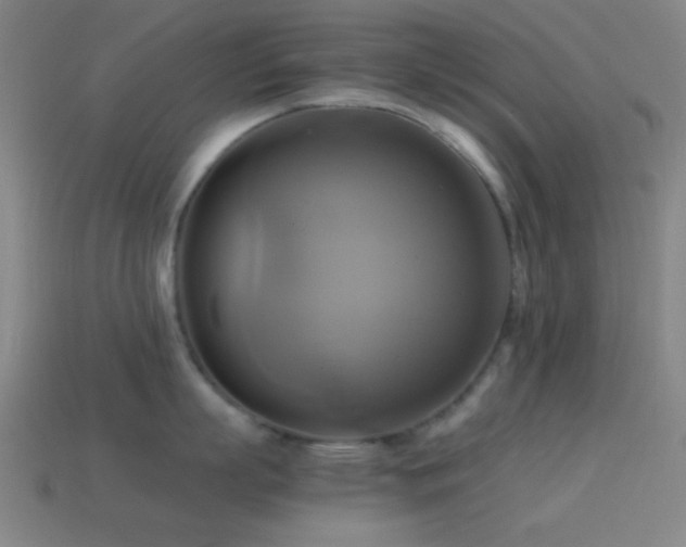 X0000114700863200910211250