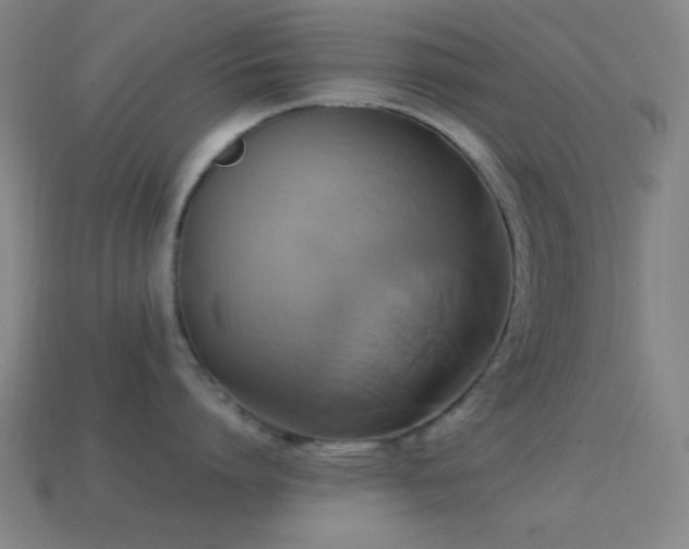 X0000114700864200910211250