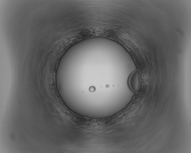 X0000114700865200910211250