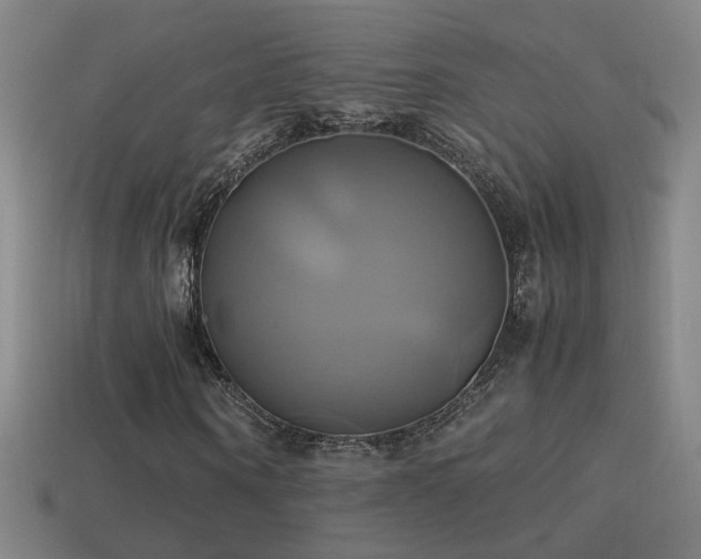 X0000114700866200910211250