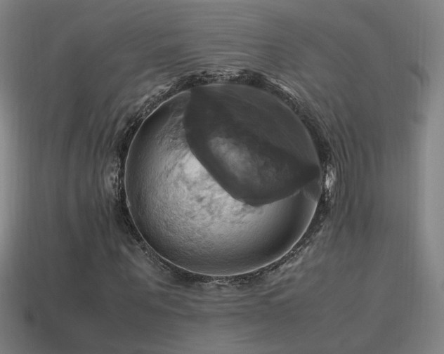 X0000114700867200910211250