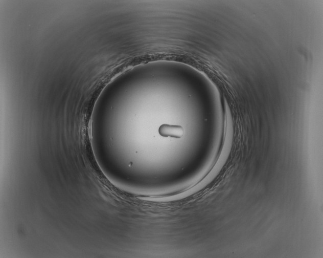 X0000114700868200910211250