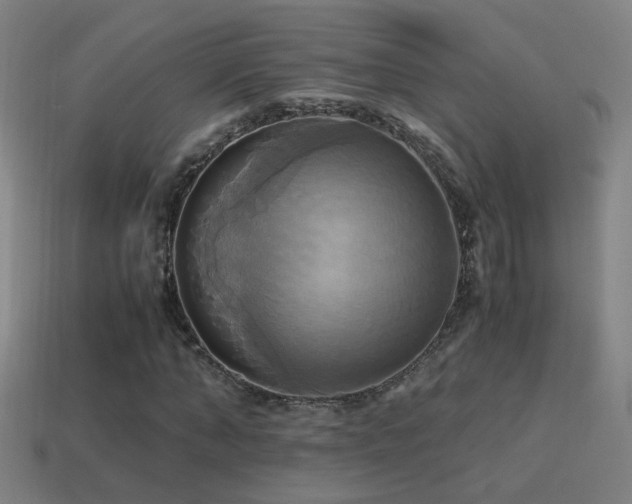 X0000114700870200910211250