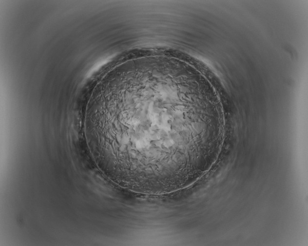 X0000114700871200910211250