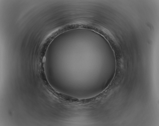 X0000114700872200910211250