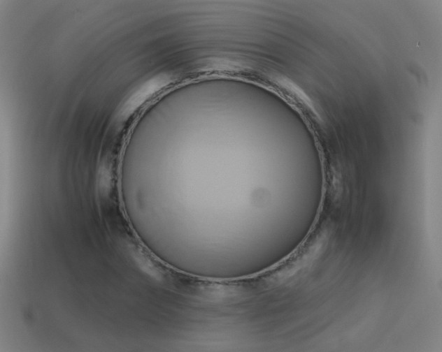 X0000114700874200910211250