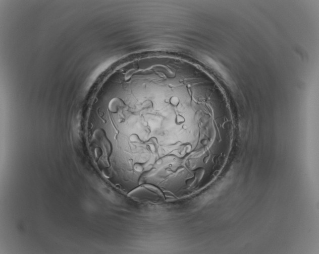 X0000114700875200910211250