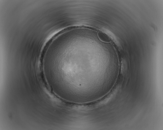 X0000114700876200910211250