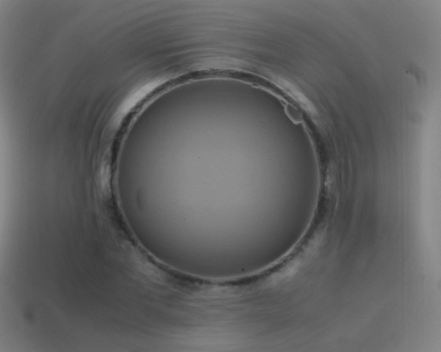 X0000114700877200910211250